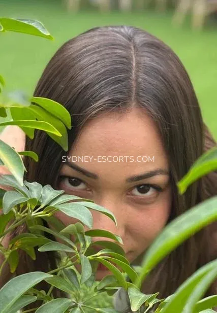Sydney escorts Stephanie — 1